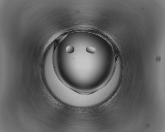 X0000090601410200707311152