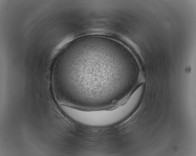 X0000090601411200707311152