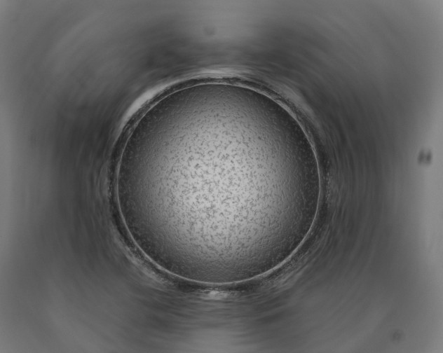 X0000090601412200707311152