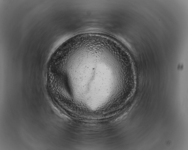 X0000090601413200707311152