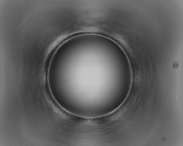 X0000090601414200707311152