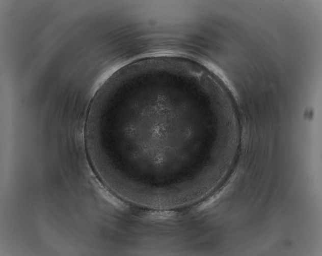 X0000090601417200707311152