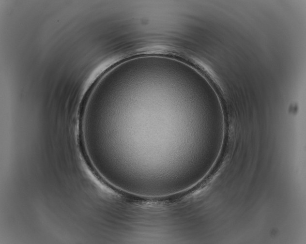 X0000090601418200707311152