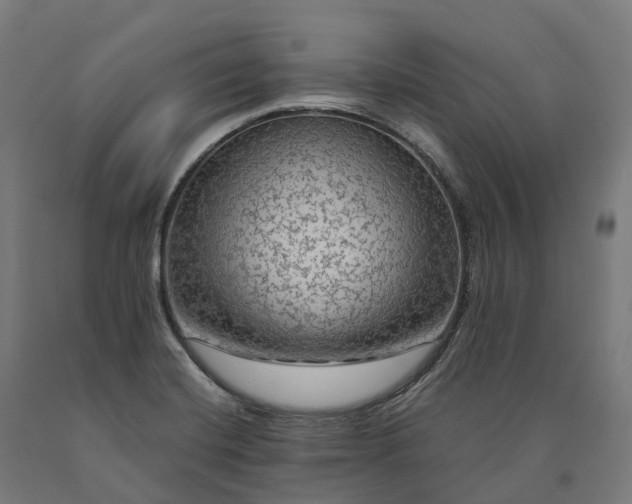 X0000090601420200707311152