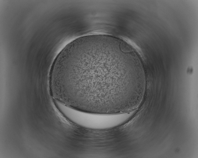 X0000090601423200707311152