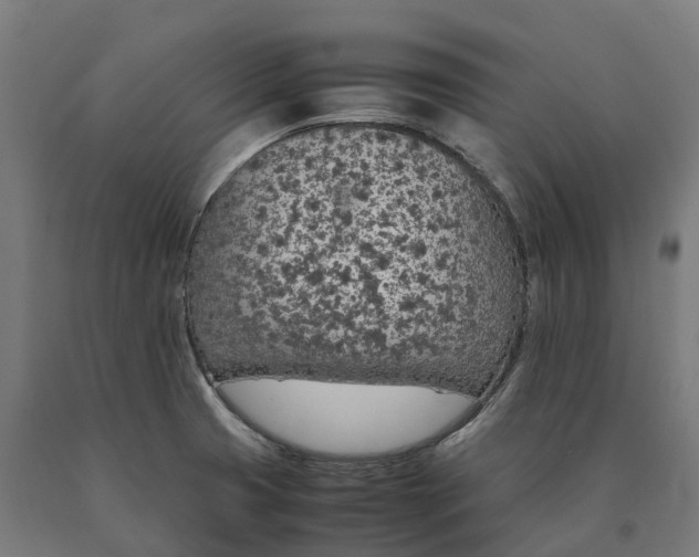 X0000090601425200707311152