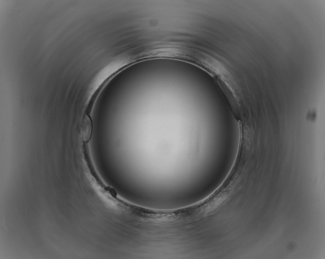 X0000090601426200707311152