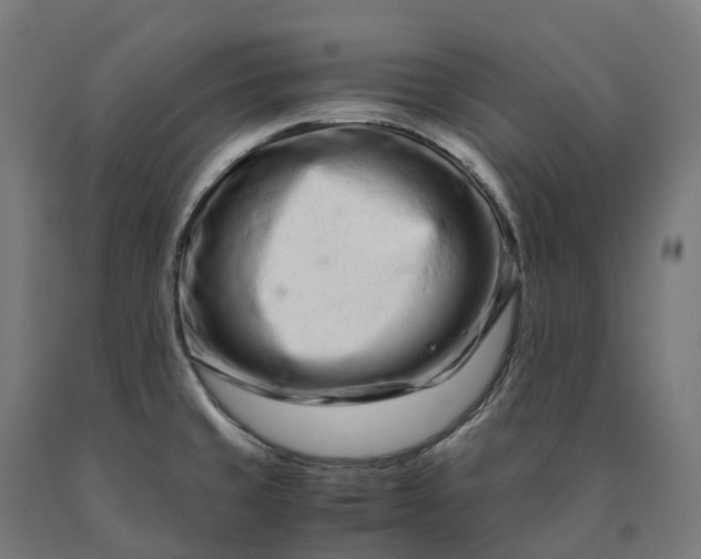 X0000090601429200707311152