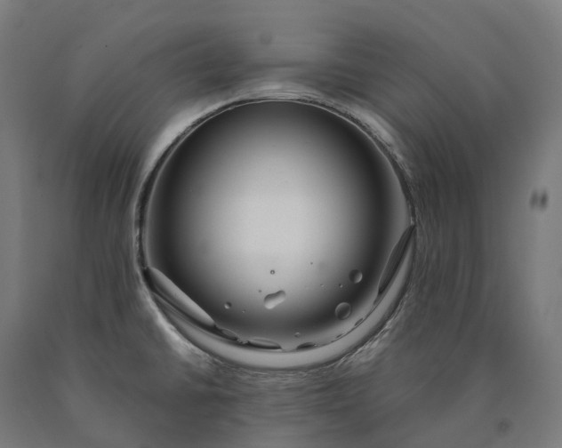 X0000090601430200707311152