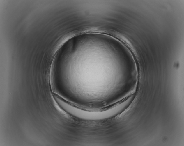 X0000090601433200707311152