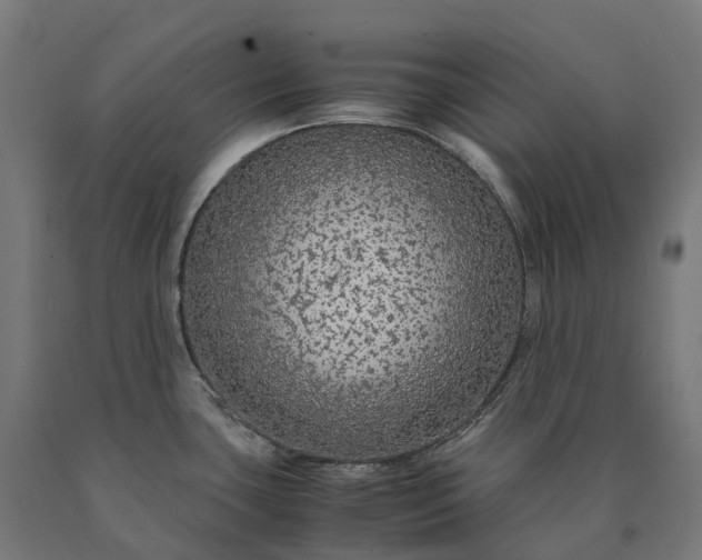 X0000090601435200707311152