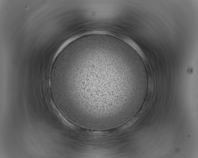 X0000090601436200707311152