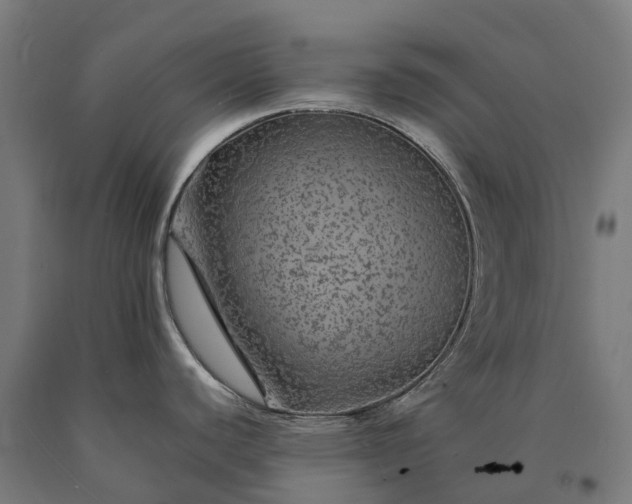 X0000090601440200707311152