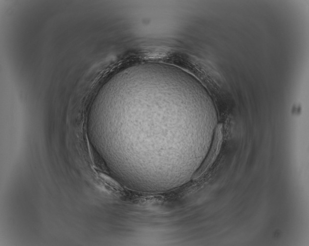 X0000090601441200707311151