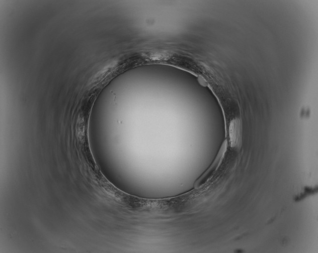 X0000090601443200707311151