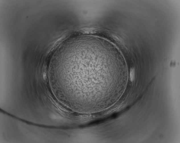 X0000090601444200707311151