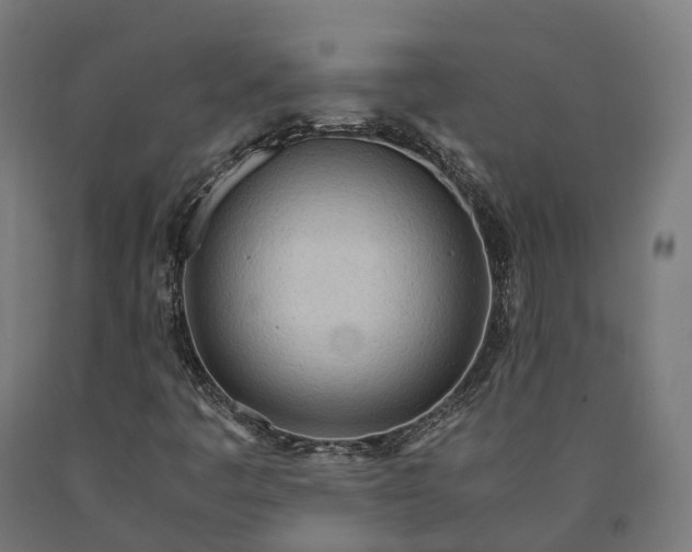 X0000090601445200707311151