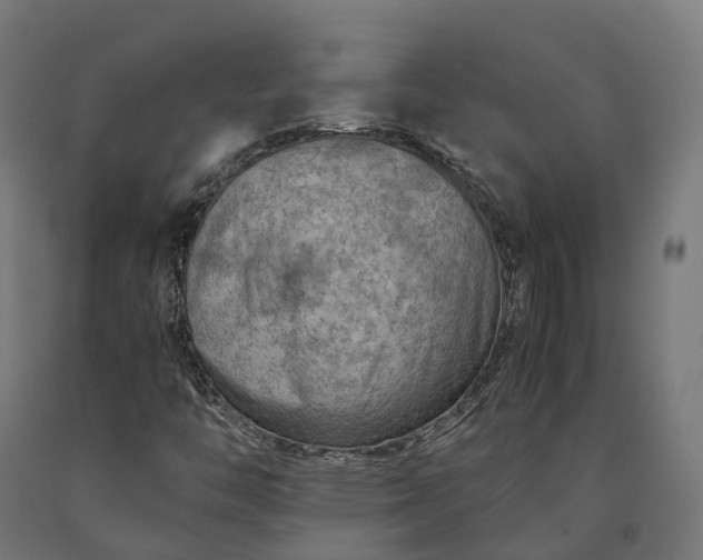 X0000090601446200707311151