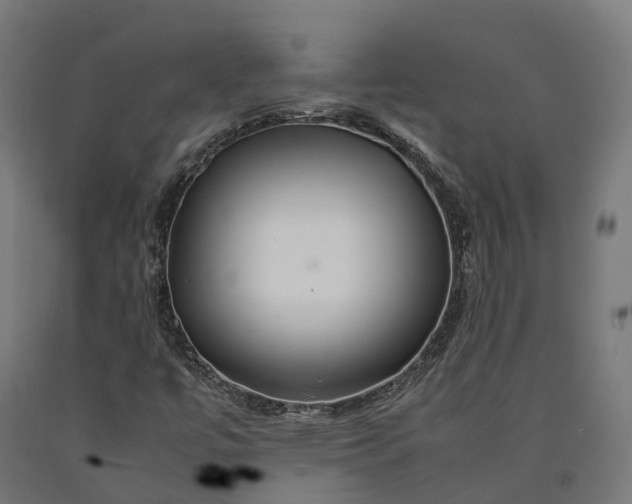 X0000090601447200707311151