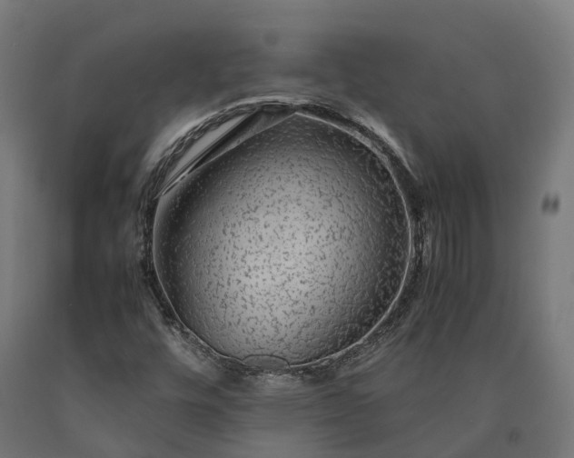 X0000090601448200707311151