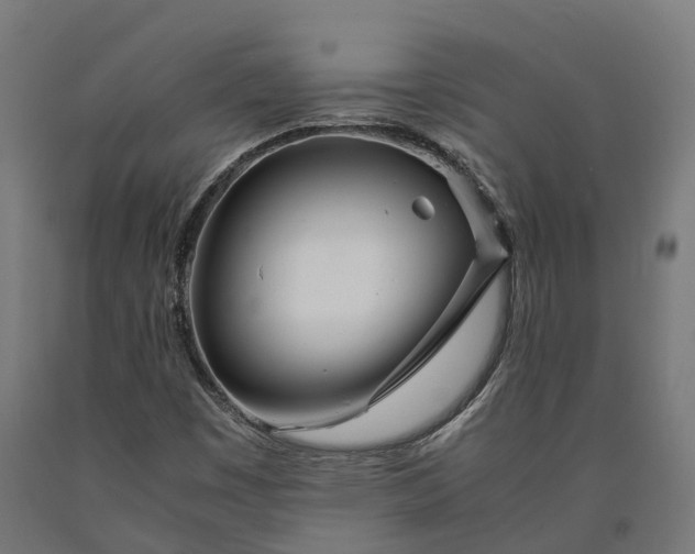 X0000090601449200707311151