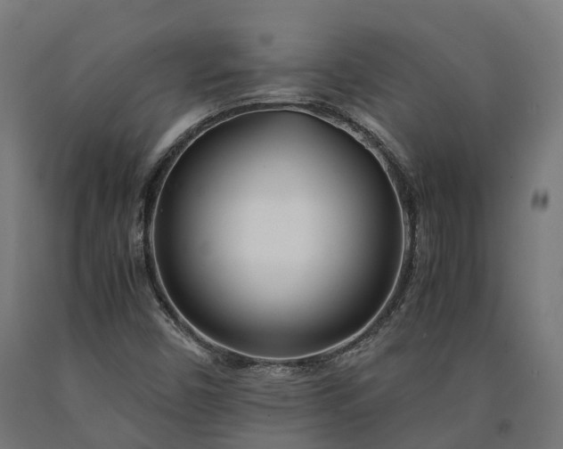 X0000090601450200707311151