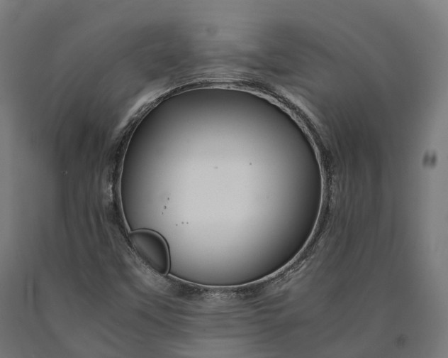 X0000090601451200707311151