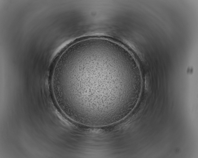 X0000090601452200707311151