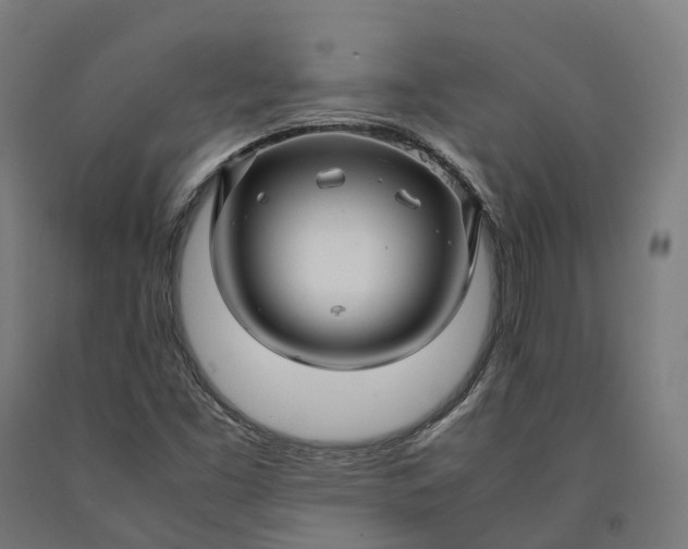 X0000090601453200707311151