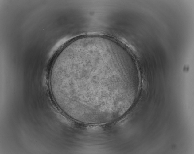 X0000090601454200707311151