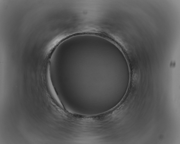 X0000090601455200707311151