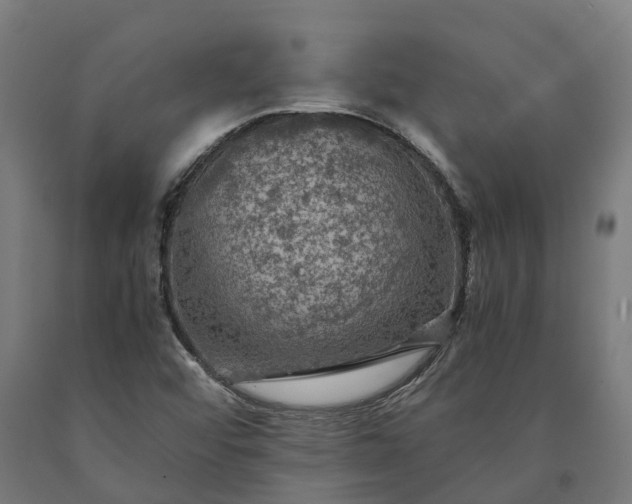 X0000090601456200707311151