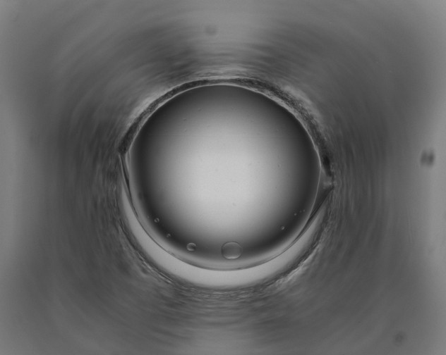 X0000090601457200707311151