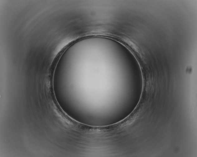 X0000090601458200707311151