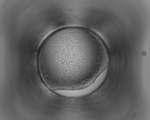 X0000090601460200707311151