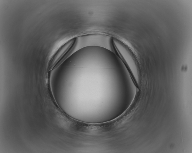 X0000090601461200707311151