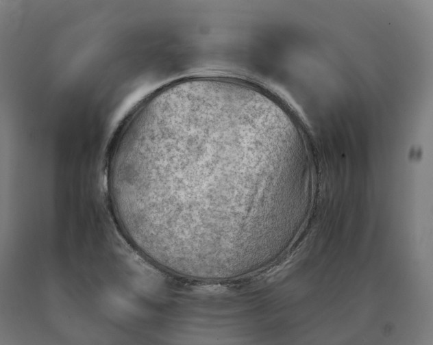 X0000090601462200707311151