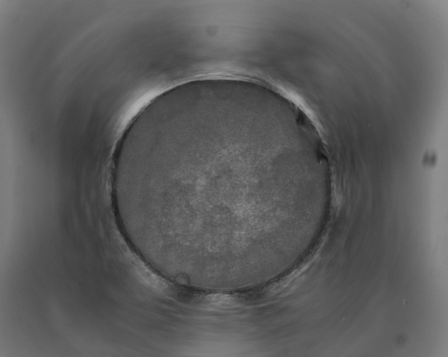 X0000090601463200707311151