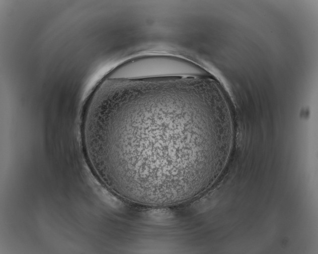 X0000090601464200707311151