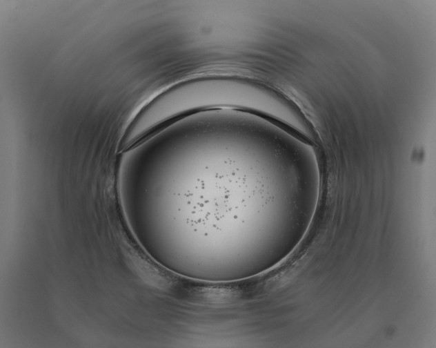 X0000090601465200707311151