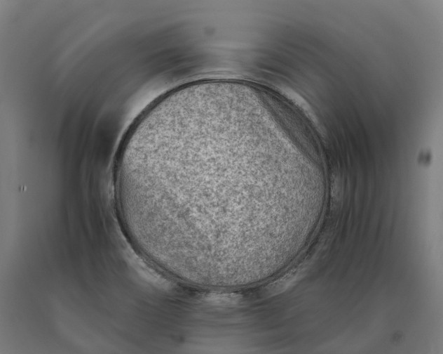 X0000090601466200707311151