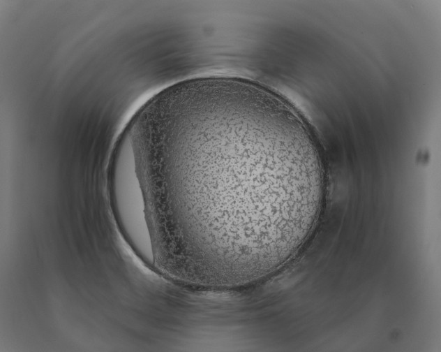 X0000090601468200707311151