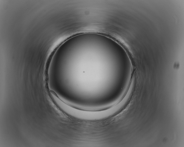 X0000090601469200707311151