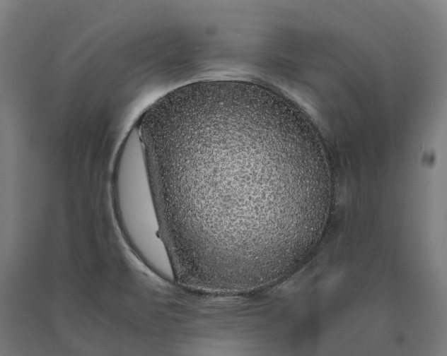 X0000090601471200707311151