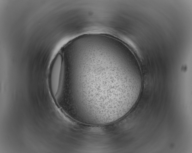 X0000090601472200707311151