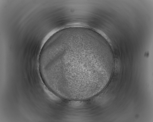 X0000090601474200707311151