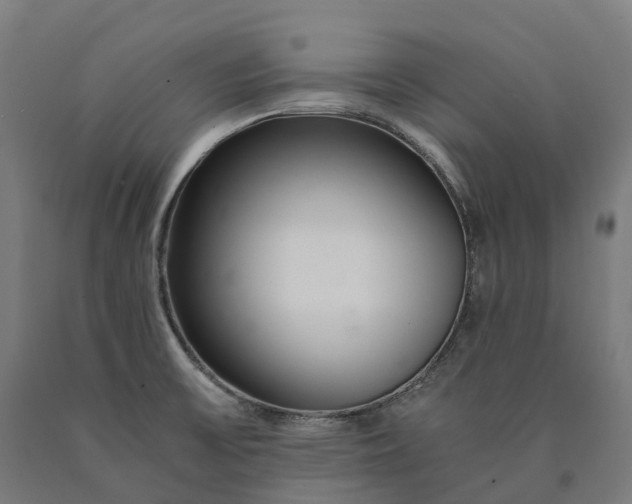 X0000090601475200707311151