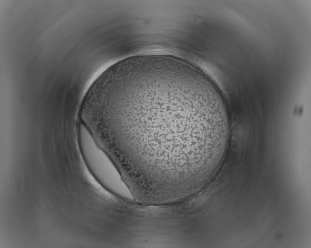 X0000090601476200707311151