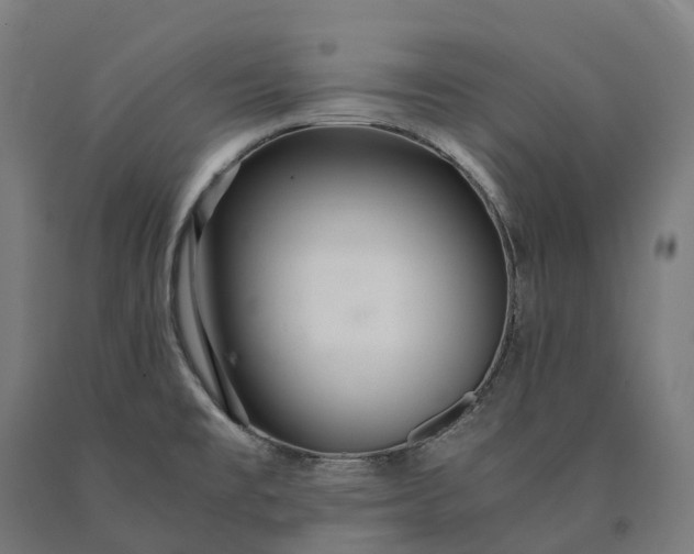 X0000090601477200707311151