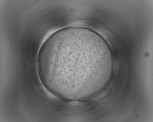 X0000090601478200707311151